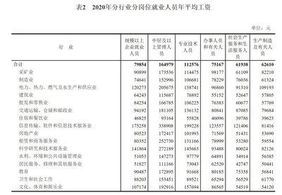 软件和信息技术服务业投资与管理 以2020年全国规上企业薪资增长为镜